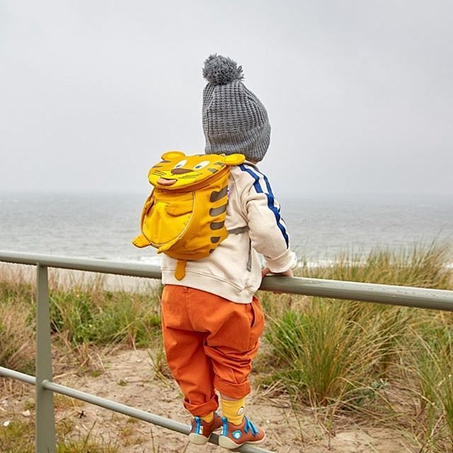 (13) Pinterest