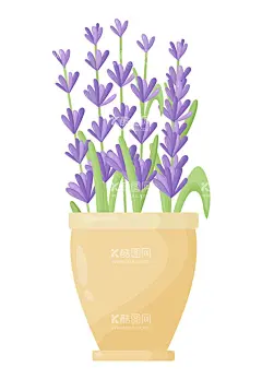 卡通薰衣草  - 源文件下载【酷图网】卡通薰衣草,薰衣草图案,卡通,素材,元素,矢量,可爱,薰衣草素材,手绘,插画,清新,印花,图案,简约,时尚,薰衣草,花卉,鲜花,春季,夏季,春天素材,夏天素材,花,花朵,薰衣草插画,插图,花素材,节日素材,插花,图标,标志,logo,包装,卡通花朵,卡通花,花朵素材,花艺,简笔画,紫色,盆栽,花盆