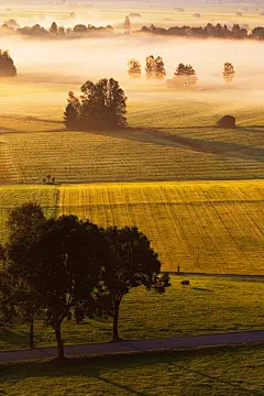高清自然植物640*960手机壁纸大图 | 风景 - 芒果唯美图片(mangowed.com)
