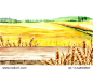 Wheat field with blank board. Summer rural landscape. Watercolor hand drawn illustration, background for your design
