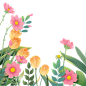 花花草草 春天 春日氛围感 插画花卉植物边框元素素材