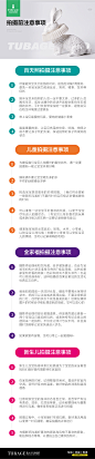 兔八哥儿童摄影拍摄注意事项
