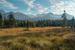 秋季大草原精美壁纸