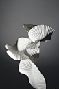 Experimental pleat (Bird in Flight) : Created using hand-pleated, wet folded paper.  www.richardsweeney.co.uk  Facebook Twitter