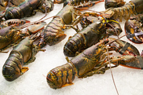 fresh crawfish - sto...