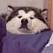 KevinWu20