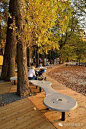 河滨公园 我们肩并肩 | Redevelopment of the east side Paprocany lake shore-新西林景观设计-微头条(wtoutiao.com)