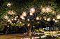 lighting fixture on the tree