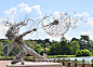 Dramatic Fairy Sculptures Dancing With Dandelions By Robin Wight