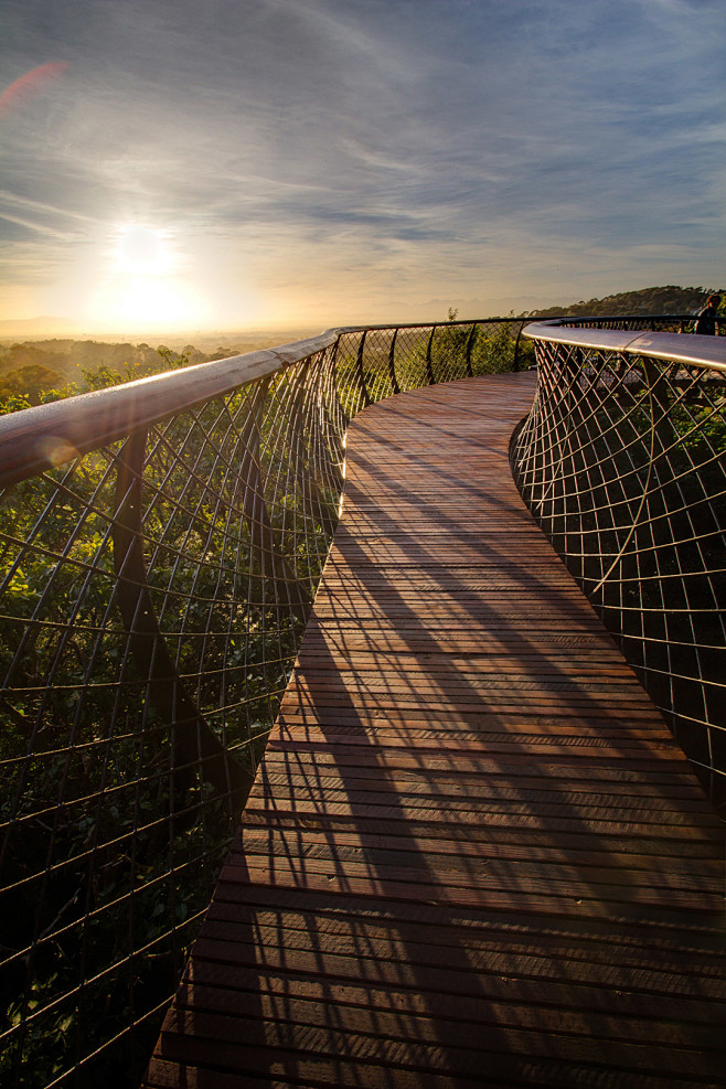 Tree Canopy Walkway ...