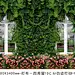 绿色植物墙体