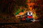 Train On Railroad Track Amidst Trees During Autumn创意图片素材 - EyeEm