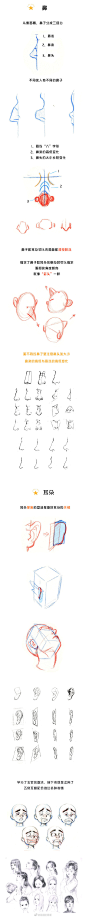 面部五官的画法！ （作者： 画画的春哥 ） ​ ​​​​