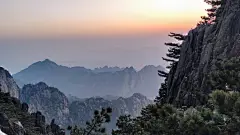 采集图片