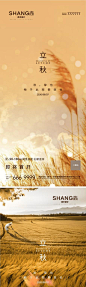 立秋节气微信系列高端大气海报-志设网-zs9.com