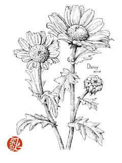 无尘月采集到花湖