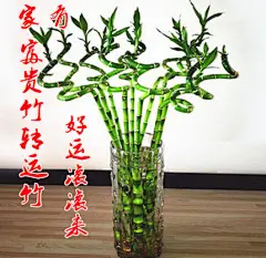 采集图片