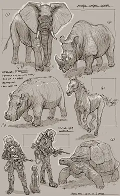 fzd_animals_01a