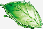 高清水叶子png