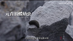 121开摆采集到灵感