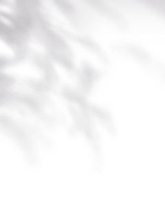 投影10
