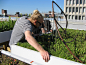 2013ASLA研究类杰出奖 -- 屋顶绿化创新测试(GRIT)实验室 - 谷德设计网