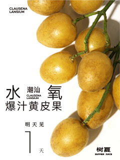 橙子味呆桃采集到面包排版参考