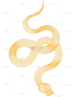 蛇年春节新年抽象线条蛇纹理元素素材