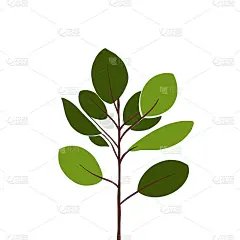 无花果叶抽象矢量插图