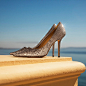 Jimmy Choo (@jimmychoo)的ins主页 · Instavis - Instagram网页版 | 发现搜集喜愛的ins用戶 - Tofo