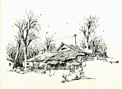 jyJWaqho采集到素描线稿