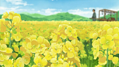雾端采集到场景