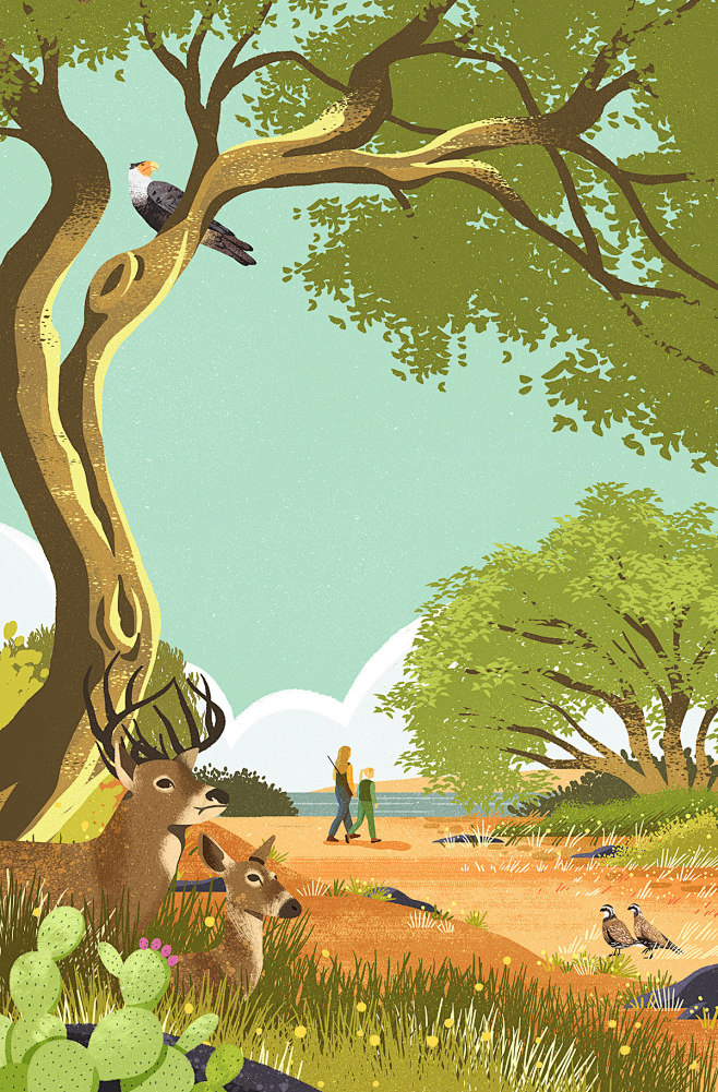 Texas Parks and Wild...