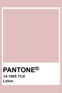 残酷、的现实采集到潘通(PANTONE)