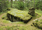 Backstugan i Stensjöängs skog