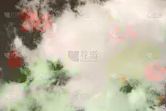 中国画中有一朵荷花