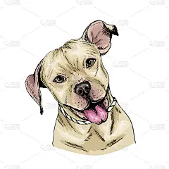 矢量肖像的比特斗牛犬狗。可爱的小狗。肉欲的插图。手绘宠物肖像。海报，t恤印花，假日，明信片，庇护所。