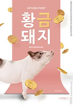 韩式猪年海报