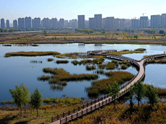 大大力水手采集到架空栈道