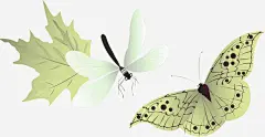 蝴蝶免抠素材_新图网 https://ixintu.com 免费矢量下载 动物 插画 蜻蜓 蝴蝶