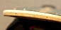 Loaded Bhangra Longboard Skateboard
