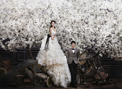 金禾采集到北京蒙娜丽莎婚纱摄影的原创画板