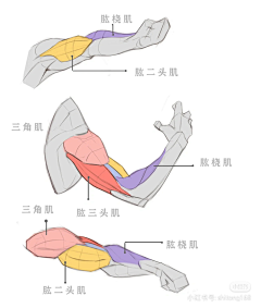 愤怒的爷爷采集到身体