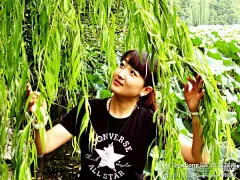 小吃