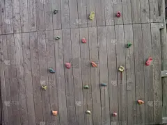 围墙,点连成线,白栎,水平画幅,无人,衰老过程,平视角,木材,古老的,古典式