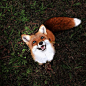juniper-fox-happiest-instagram-9: 