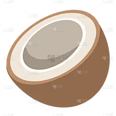 手绘-水果切面元素-椰子