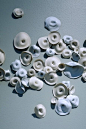 Whorl