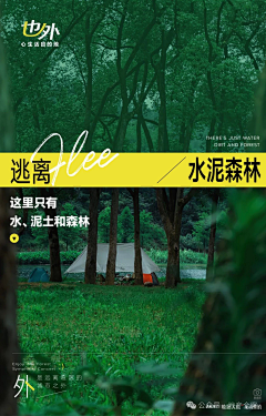 月岛雯xyy采集到也外