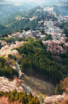 波澜~采集到摄影美图